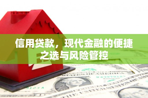 南开信用贷款，现代金融的便捷之选与风险管控