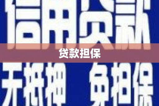 南开贷款担保