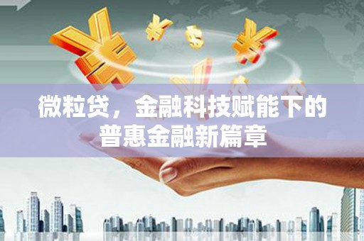 南开微粒贷，金融科技赋能下的普惠金融新篇章