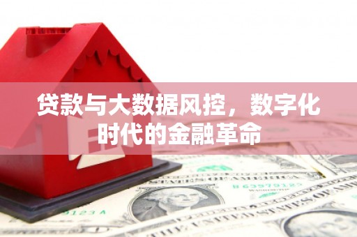 南开贷款与大数据风控，数字化时代的金融革命