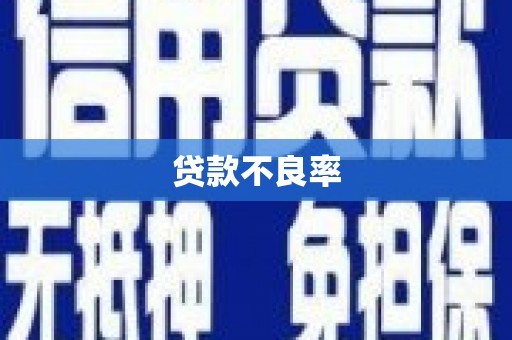 南开贷款不良率