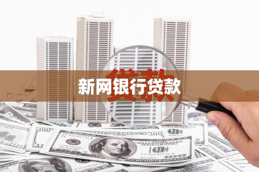 南开新网银行贷款