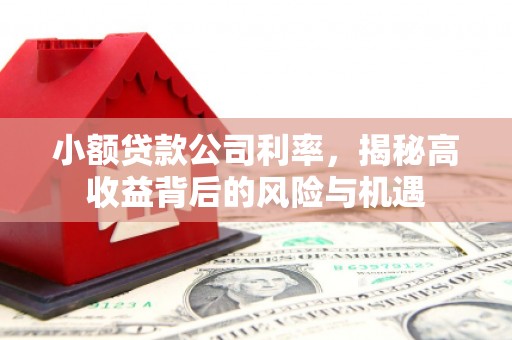 南开小额贷款公司利率，揭秘高收益背后的风险与机遇
