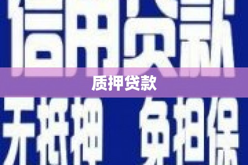 南开质押贷款