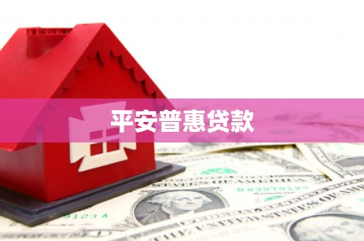 南开平安普惠贷款
