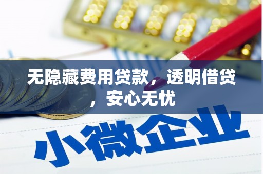 南开无隐藏费用贷款，透明借贷，安心无忧