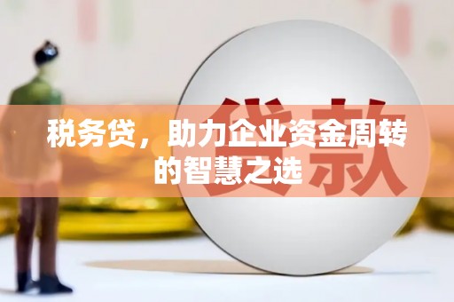 南开税务贷，助力企业资金周转的智慧之选