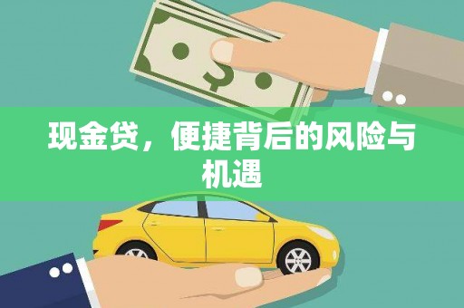 南开现金贷，便捷背后的风险与机遇