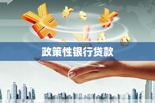南开政策性银行贷款