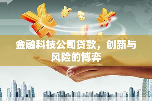 南开金融科技公司贷款，创新与风险的博弈