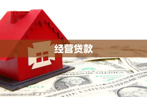 南开经营贷款