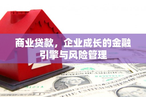 南开商业贷款，企业成长的金融引擎与风险管理