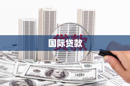 南开国际贷款