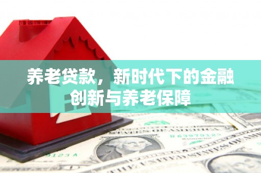 南开养老贷款，新时代下的金融创新与养老保障