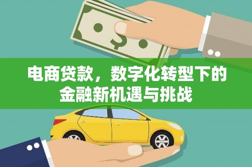南开电商贷款，数字化转型下的金融新机遇与挑战