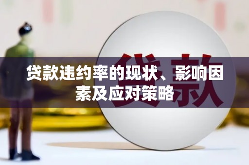 南开贷款违约率的现状、影响因素及应对策略