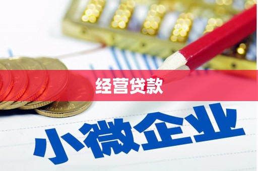 南开经营贷款