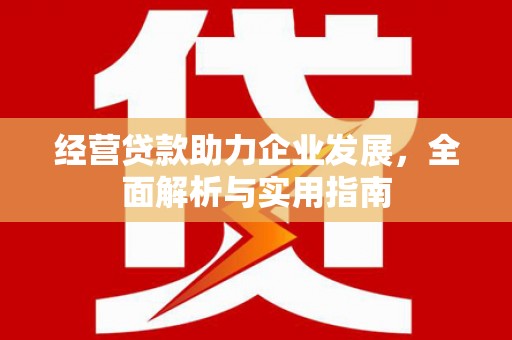 南开经营贷款助力企业发展，全面解析与实用指南