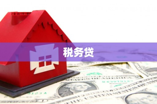 南开税务贷