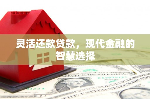 南开灵活还款贷款，现代金融的智慧选择