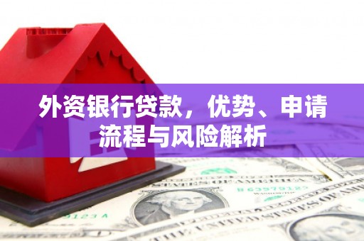 南开外资银行贷款，优势、申请流程与风险解析