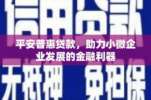 南开平安普惠贷款，助力小微企业发展的金融利器