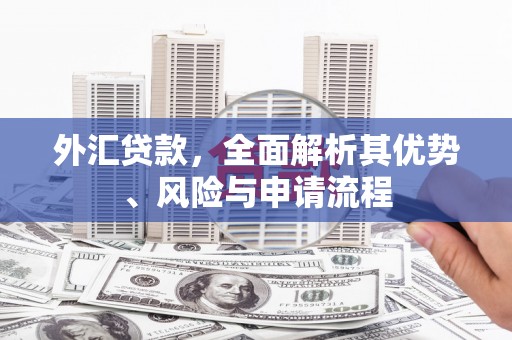 南开外汇贷款，全面解析其优势、风险与申请流程