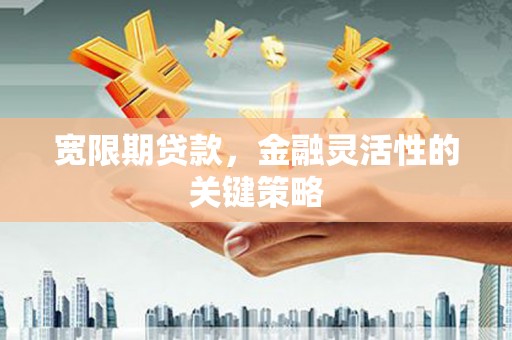南开宽限期贷款，金融灵活性的关键策略