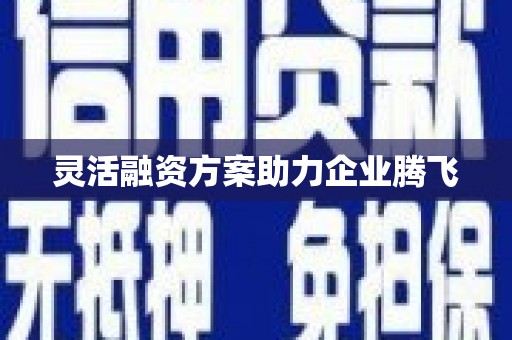 南开灵活融资方案助力企业腾飞