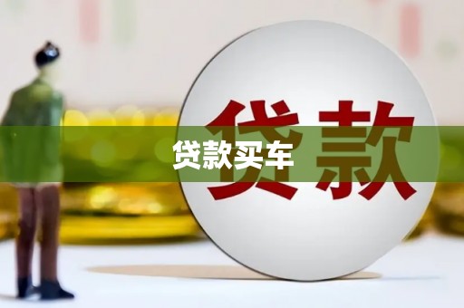 南开贷款买车