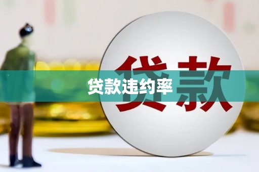 南开贷款违约率