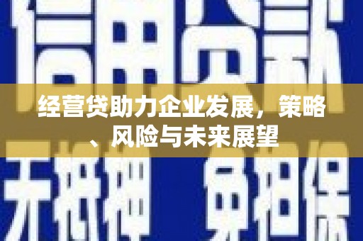 南开经营贷助力企业发展，策略、风险与未来展望