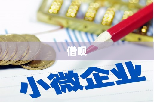 南开借呗