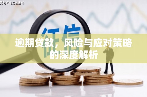 南开逾期贷款，风险与应对策略的深度解析