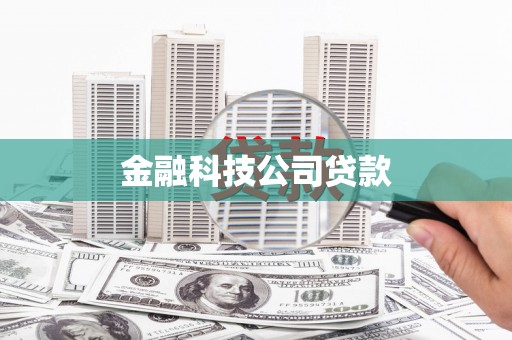 南开金融科技公司贷款