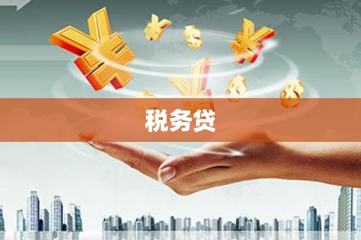 南开税务贷