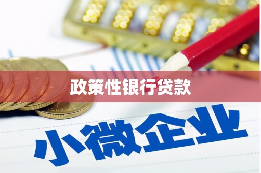 南开政策性银行贷款