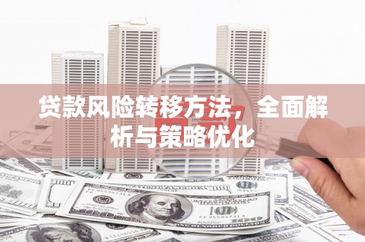 南开贷款风险转移方法，全面解析与策略优化