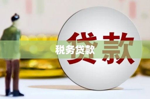 南开税务贷款