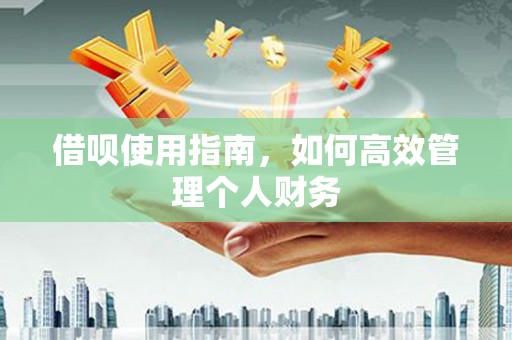 南开借呗使用指南，如何高效管理个人财务