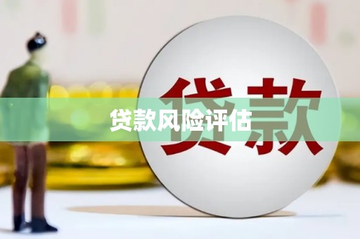 南开贷款风险评估