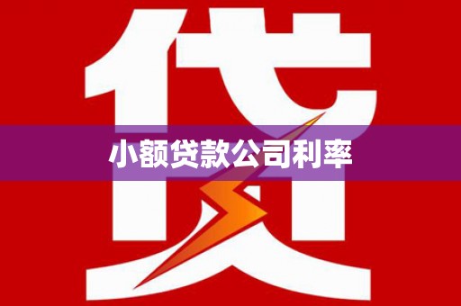 南开小额贷款公司利率