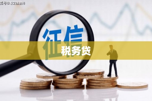 南开税务贷