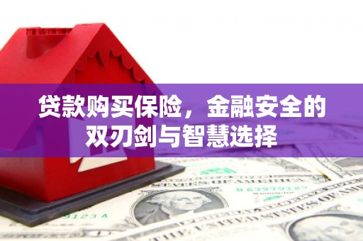 南开贷款购买保险，金融安全的双刃剑与智慧选择