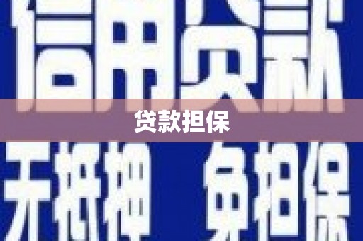 南开贷款担保