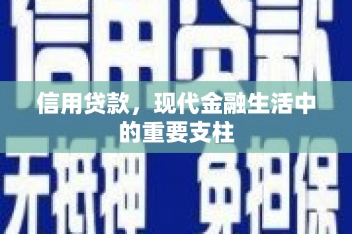 南开信用贷款，现代金融生活中的重要支柱