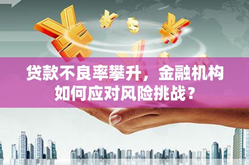 南开贷款不良率攀升，金融机构如何应对风险挑战？