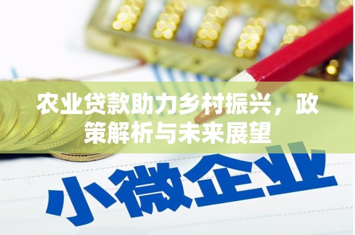 南开农业贷款助力乡村振兴，政策解析与未来展望