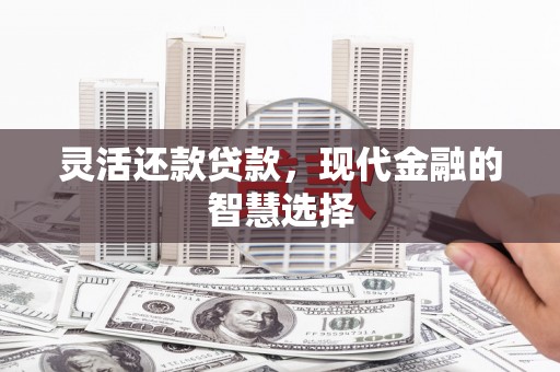 南开灵活还款贷款，现代金融的智慧选择