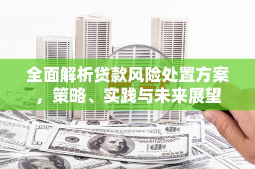 南开全面解析贷款风险处置方案，策略、实践与未来展望